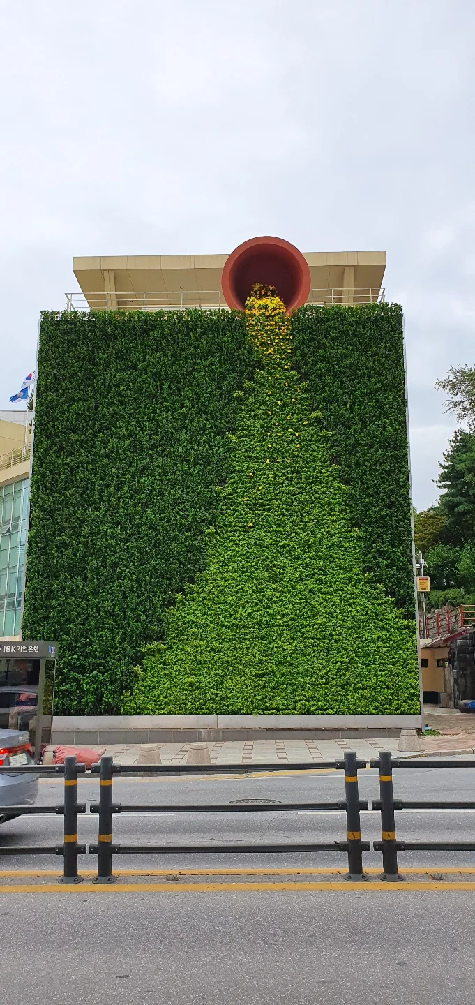 20200916_2.jpg