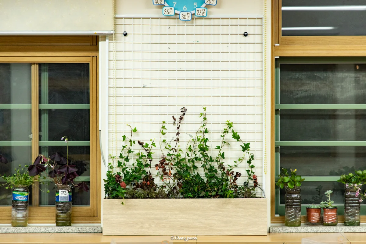 서울 우면초등학교