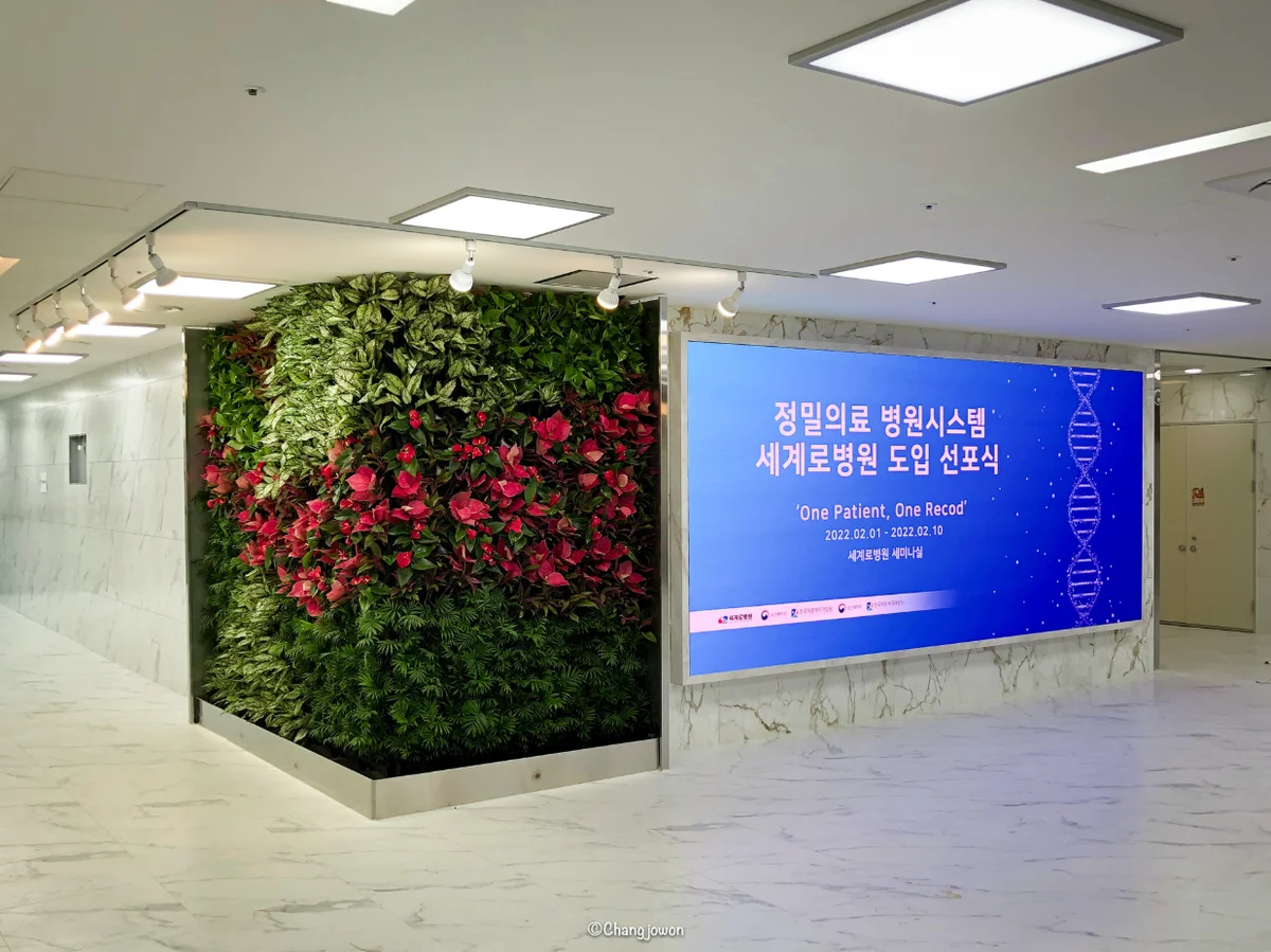 서울 세계로병원