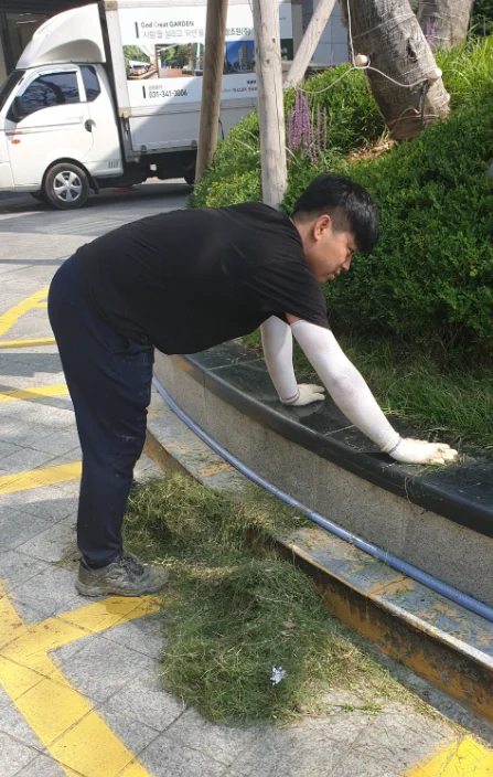 송도 오네스타