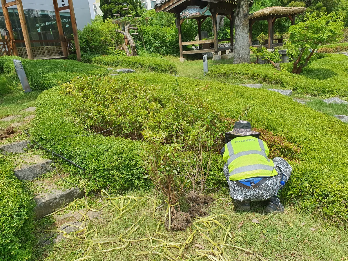 20210525_8.jpg
