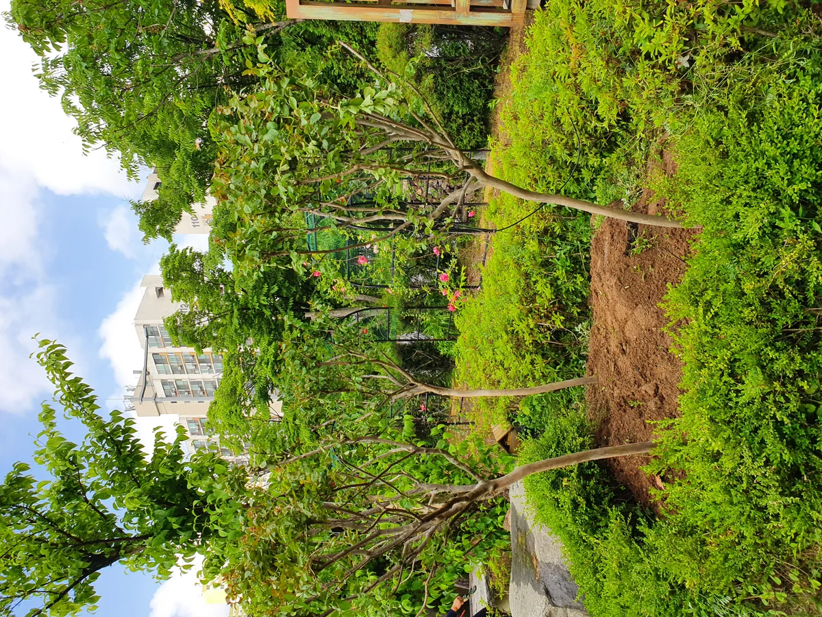20210525_10.jpg