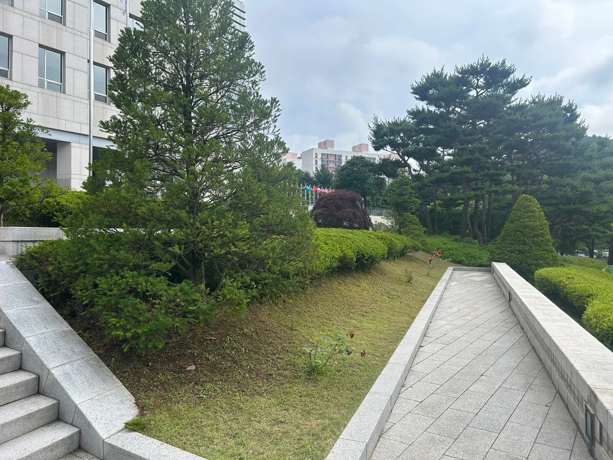 국제백신연구소