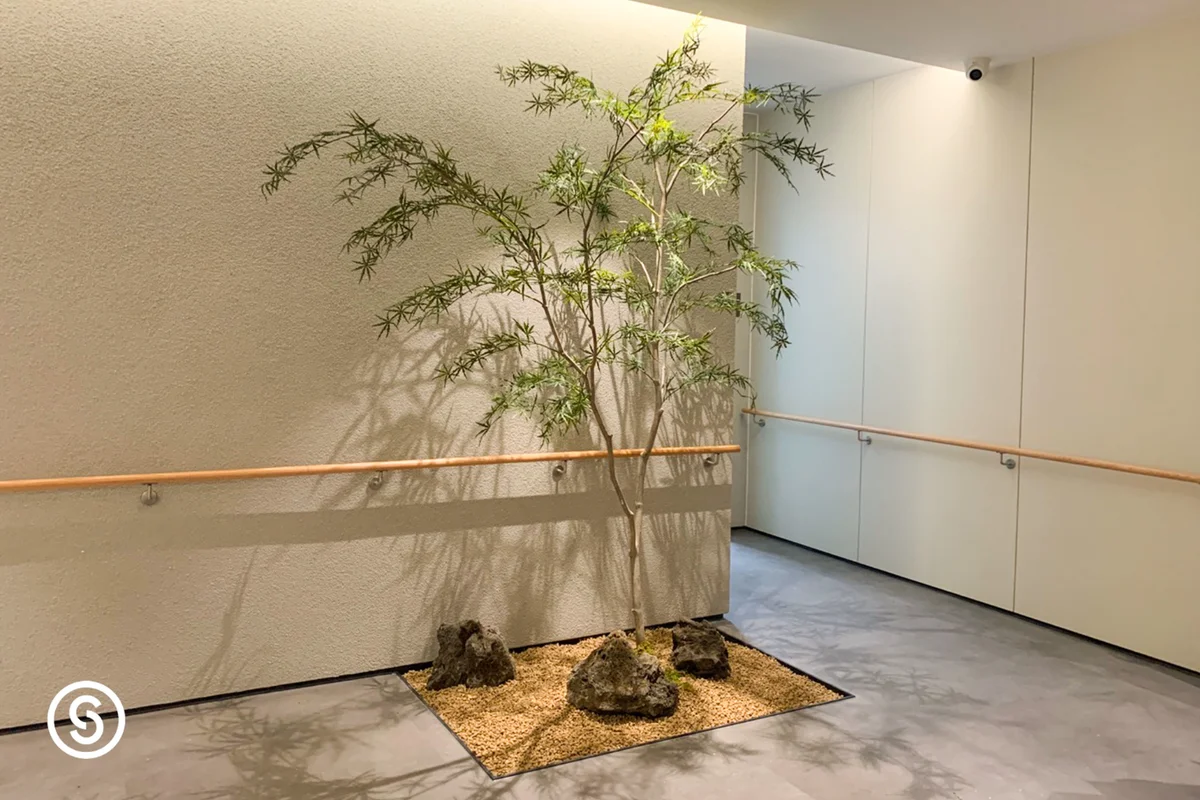 강남 포레스트 한방병원
