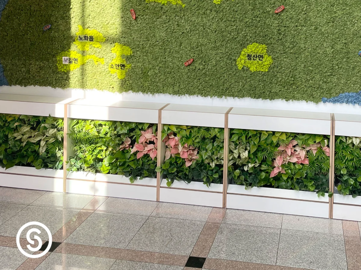 완도군청